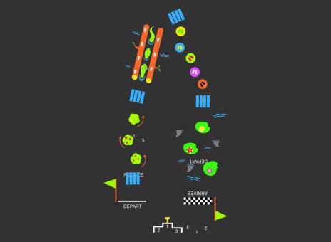 DecoMark™ Fitness Trail Jungle 16000 x 3000 mm, VPE= 1