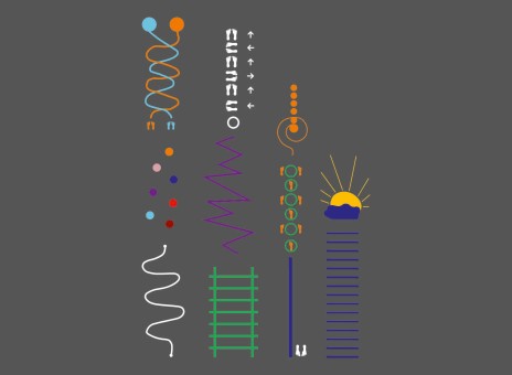 DecoMark™ Activity Track 10601 x 7097 mm, VPE= 1